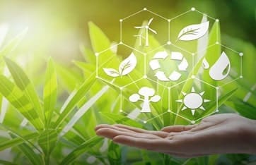 Environmental Sustainability